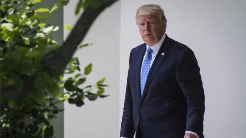 特朗普王牌律师最新爆料,揭秘总统府惊天秘密